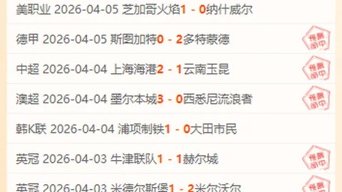 【专属粉丝大礼】揭秘精彩对决，深度解析胜负与总分数！